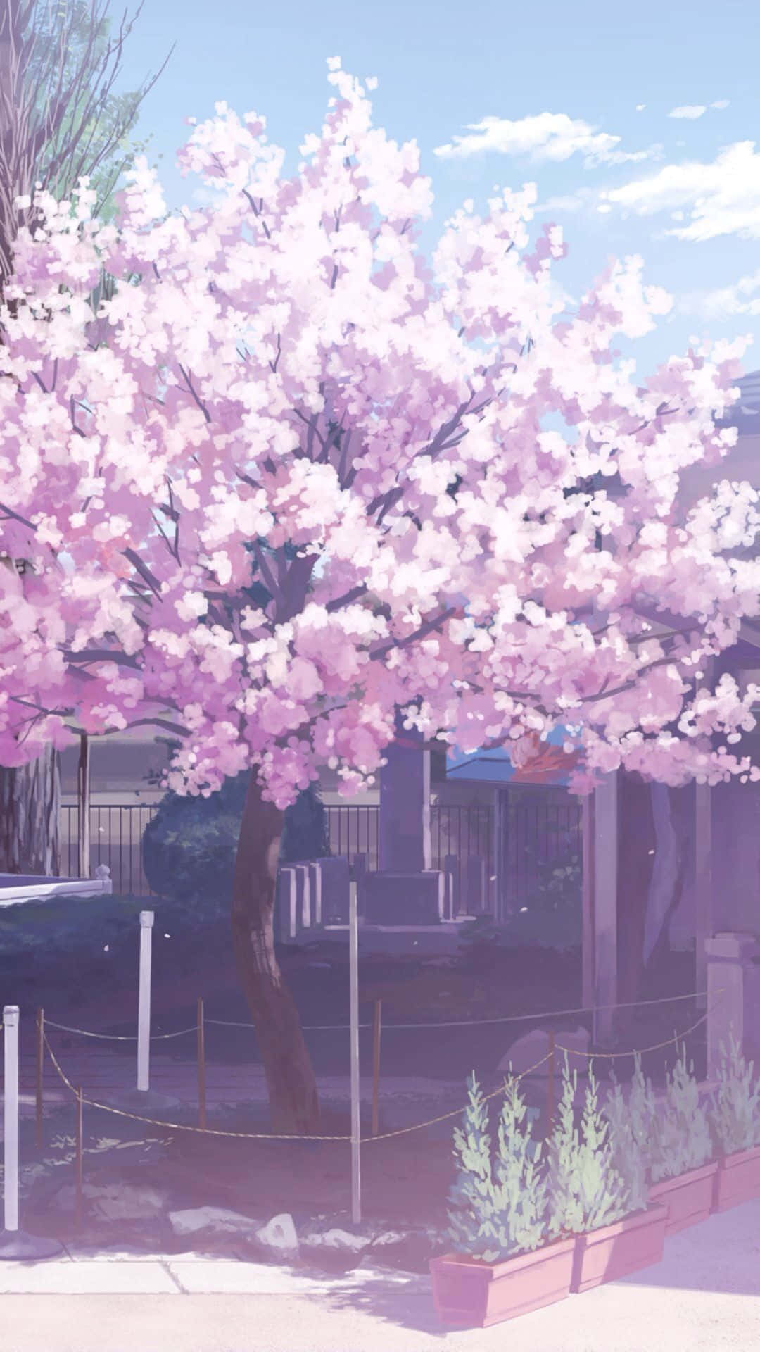 Escenade Anime Rosa Colorida Y Divertida