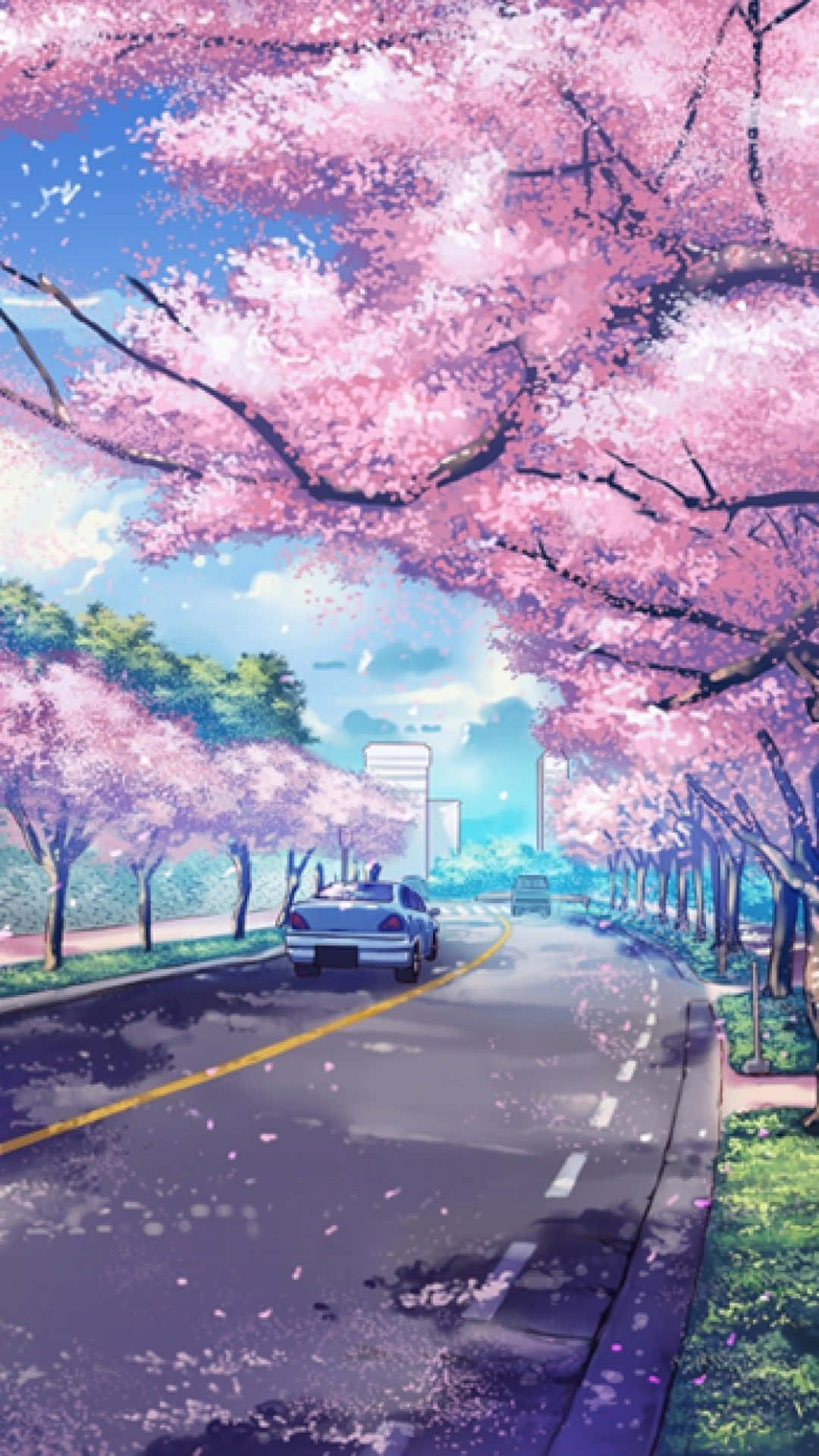 A Pink Road With Cherry Blossoms In The Background
