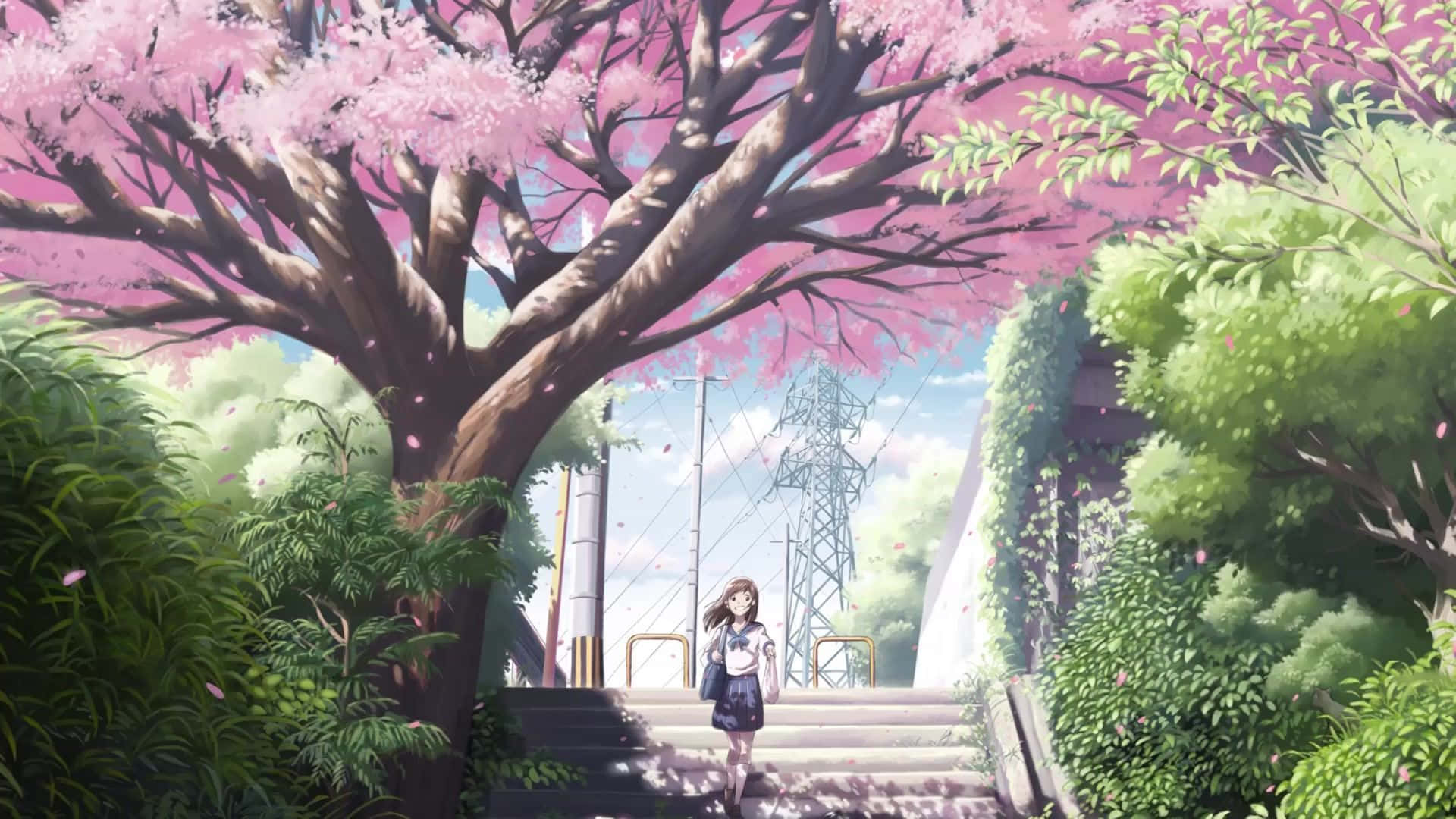A Girl Is Walking Down A Path With A Pink Tree