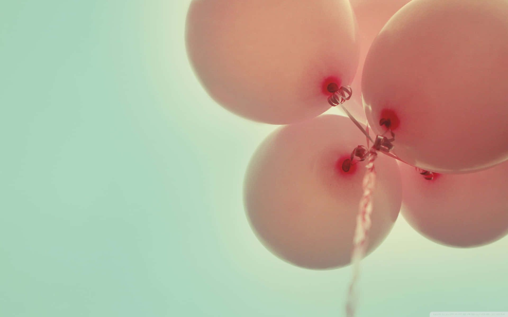 Stunning Pink Balloons Background