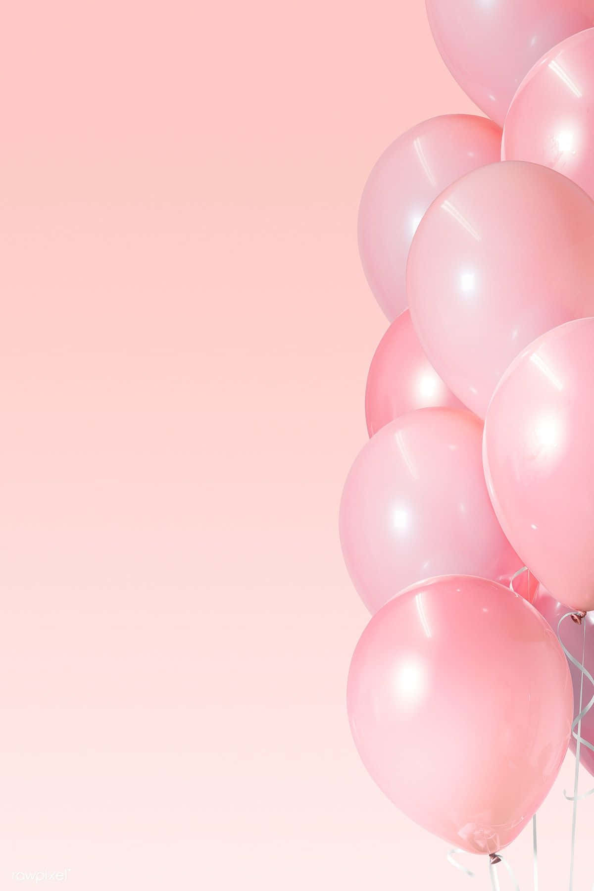 Pink balloons float in the sky, creating a beautiful pink ambiance.