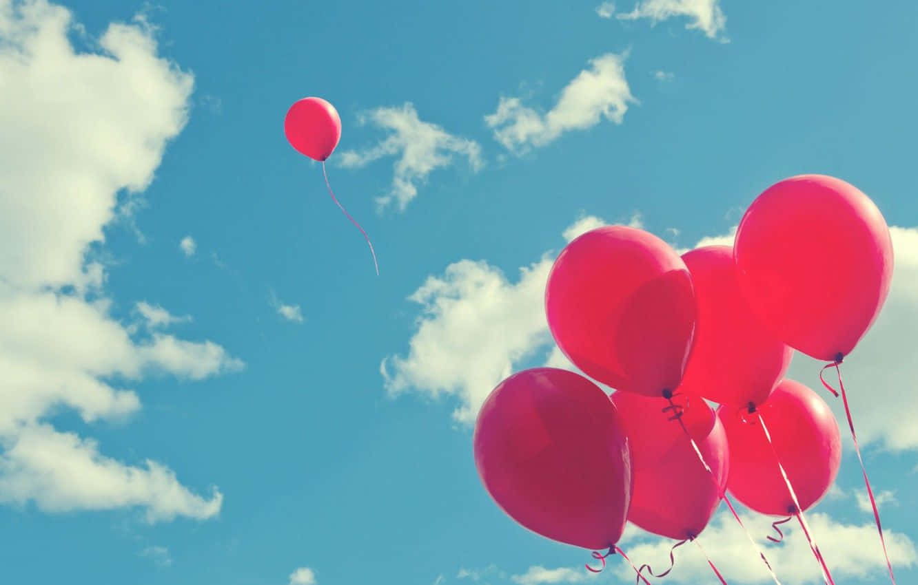 Celebrate your special day with pink balloons!