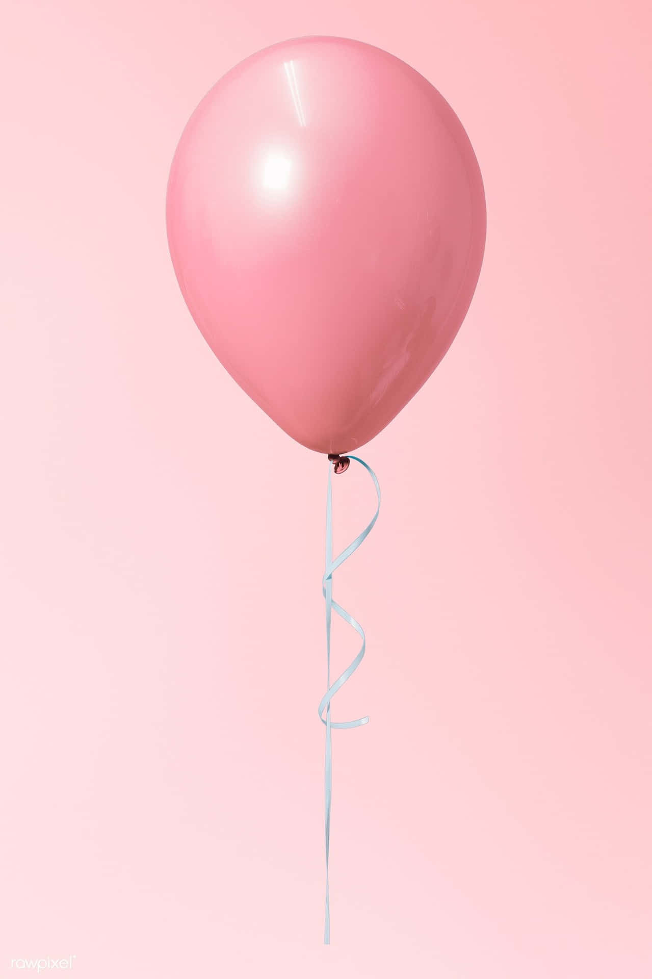Pink Balloon On A Pink Background