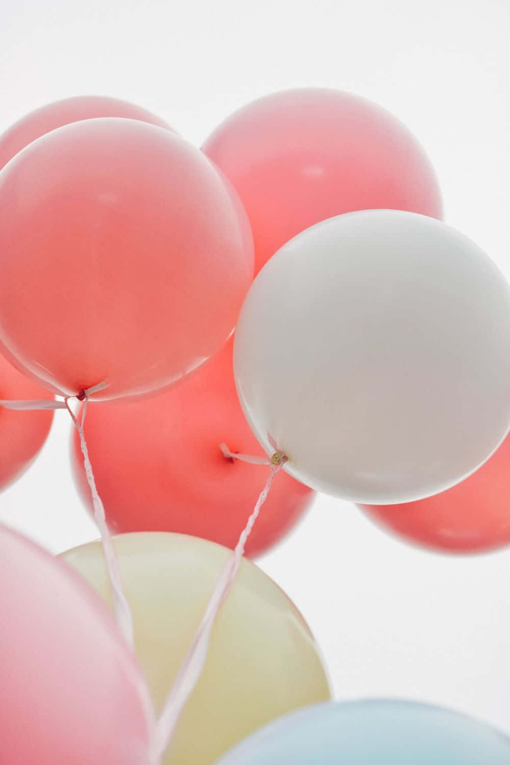 Celebrate life with a Colorful World of Pink Balloons!