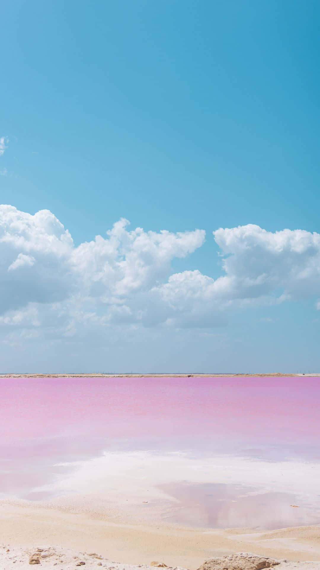 A mesmerizing view of the captivating Pink Beach Wallpaper