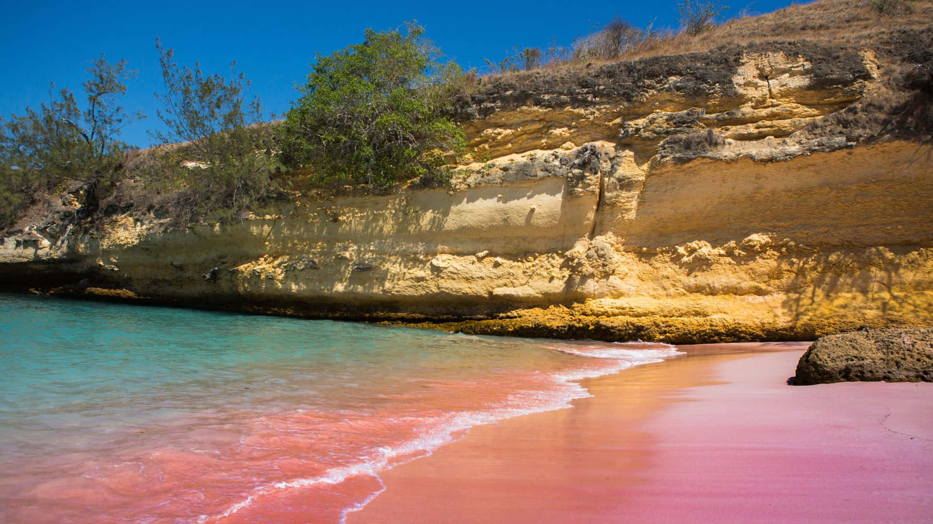 Discover the Magical Pink Beach Paradise Wallpaper