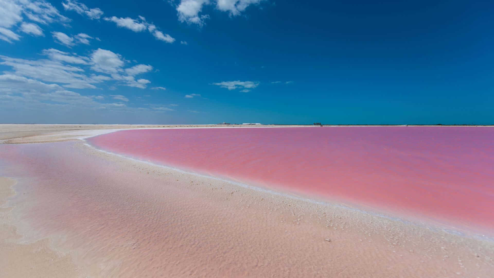 Pristine Pink Beach with Crystal Clear Waters Wallpaper