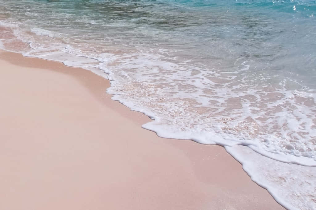 Disfrutadel Hermoso Atardecer Rosa En La Playa. Fondo de pantalla