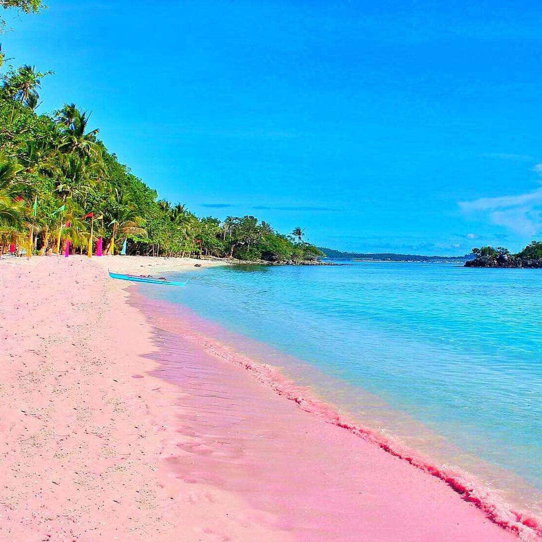 Praiade Areia Rosa Nas Filipinas. Papel de Parede