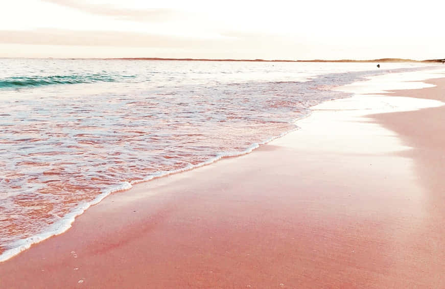 Unamanecer En Una Deslumbrante Playa Rosa. Fondo de pantalla