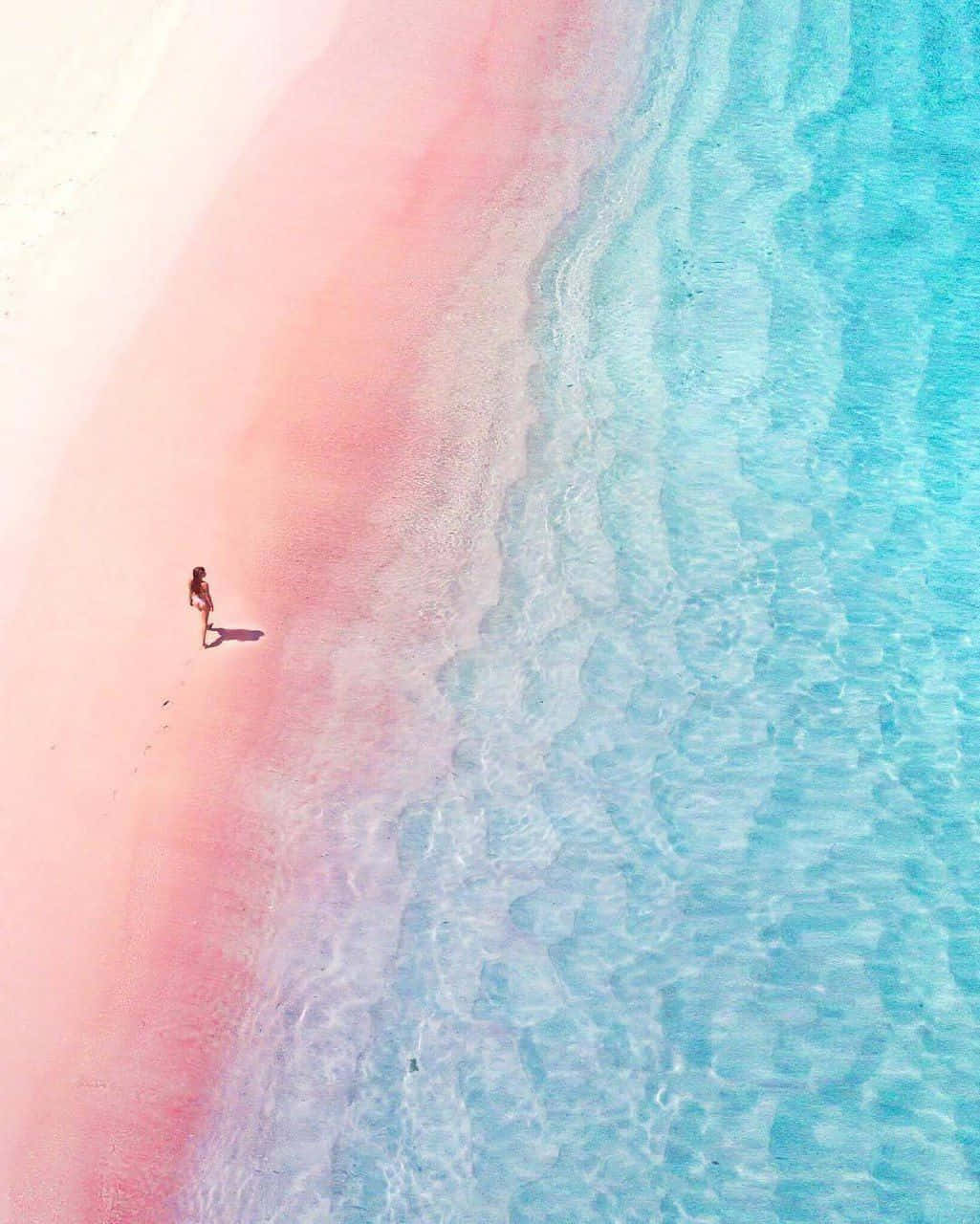 Pink Beach In Komodo Island Indonesia Wallpaper