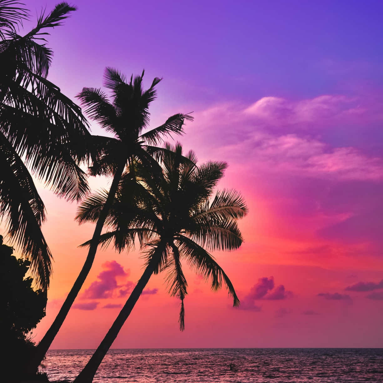"A calming pink sunset on a tropical beach" Wallpaper