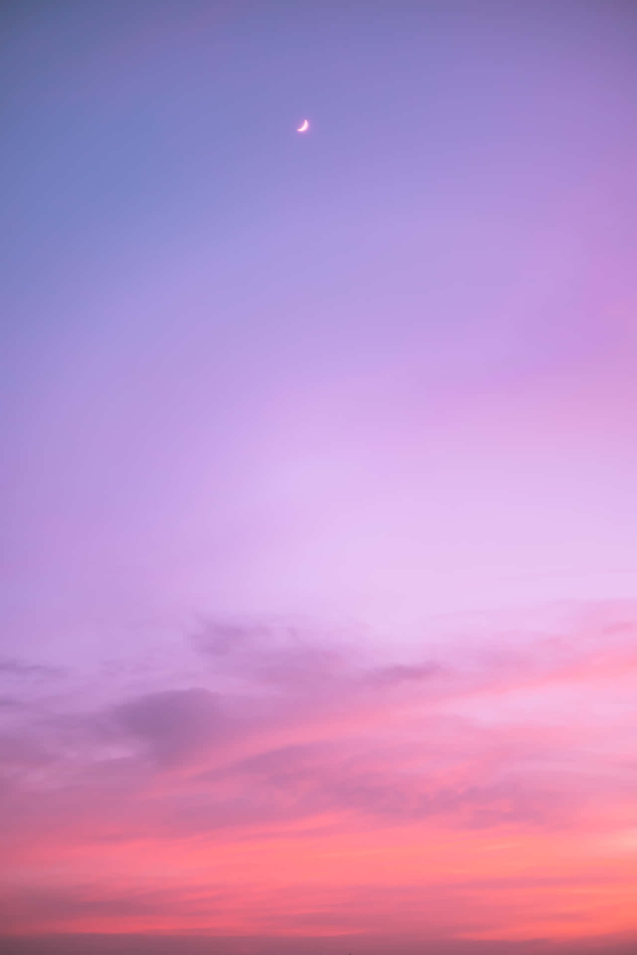Pink Beach Sunset With The Moon Wallpaper
