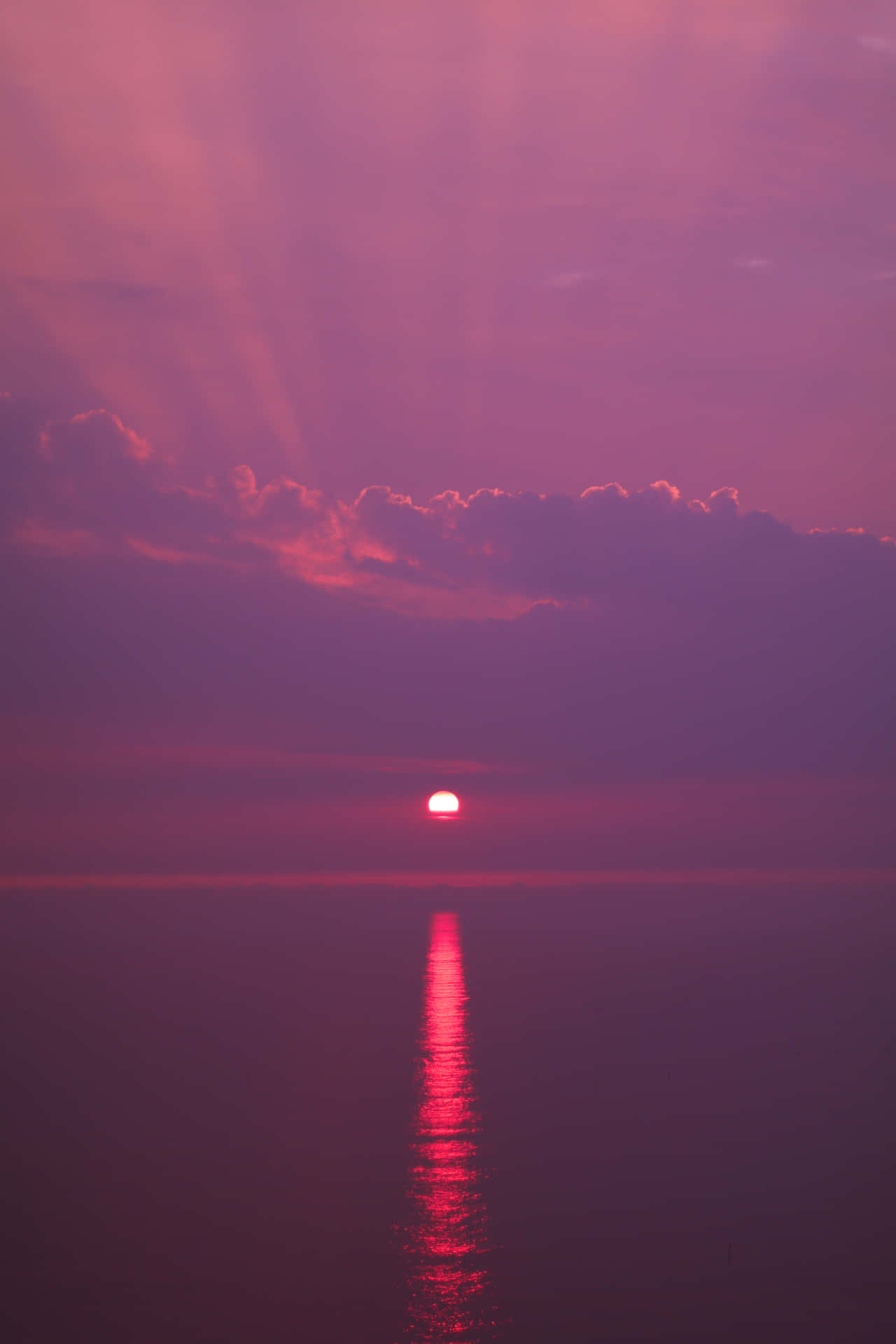 Pink Beach Sunset With The Sun's Reflection Wallpaper