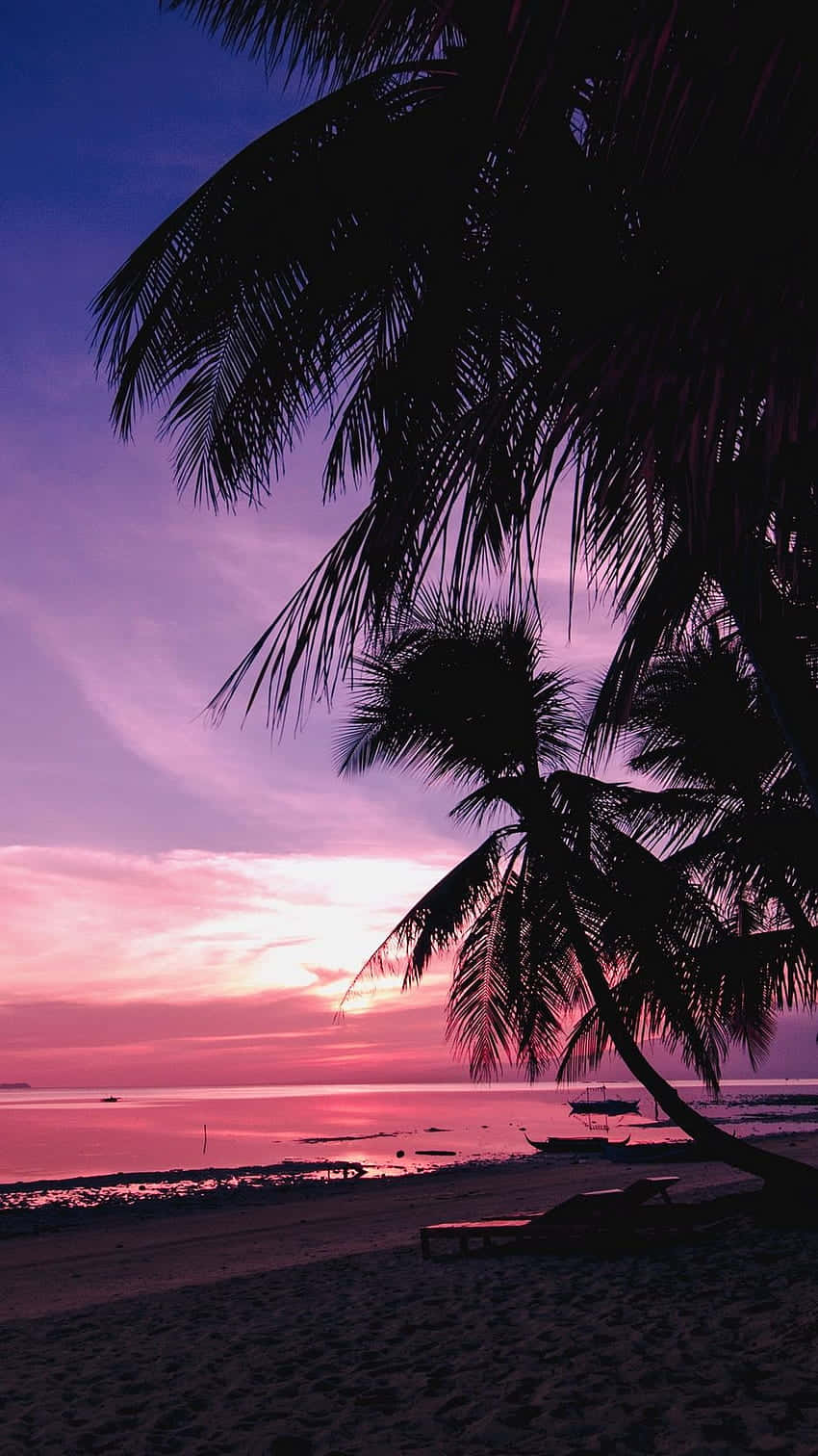 Enjoying a spectacular sunset on the beach surrounded by the beauty of the pink skies. Wallpaper