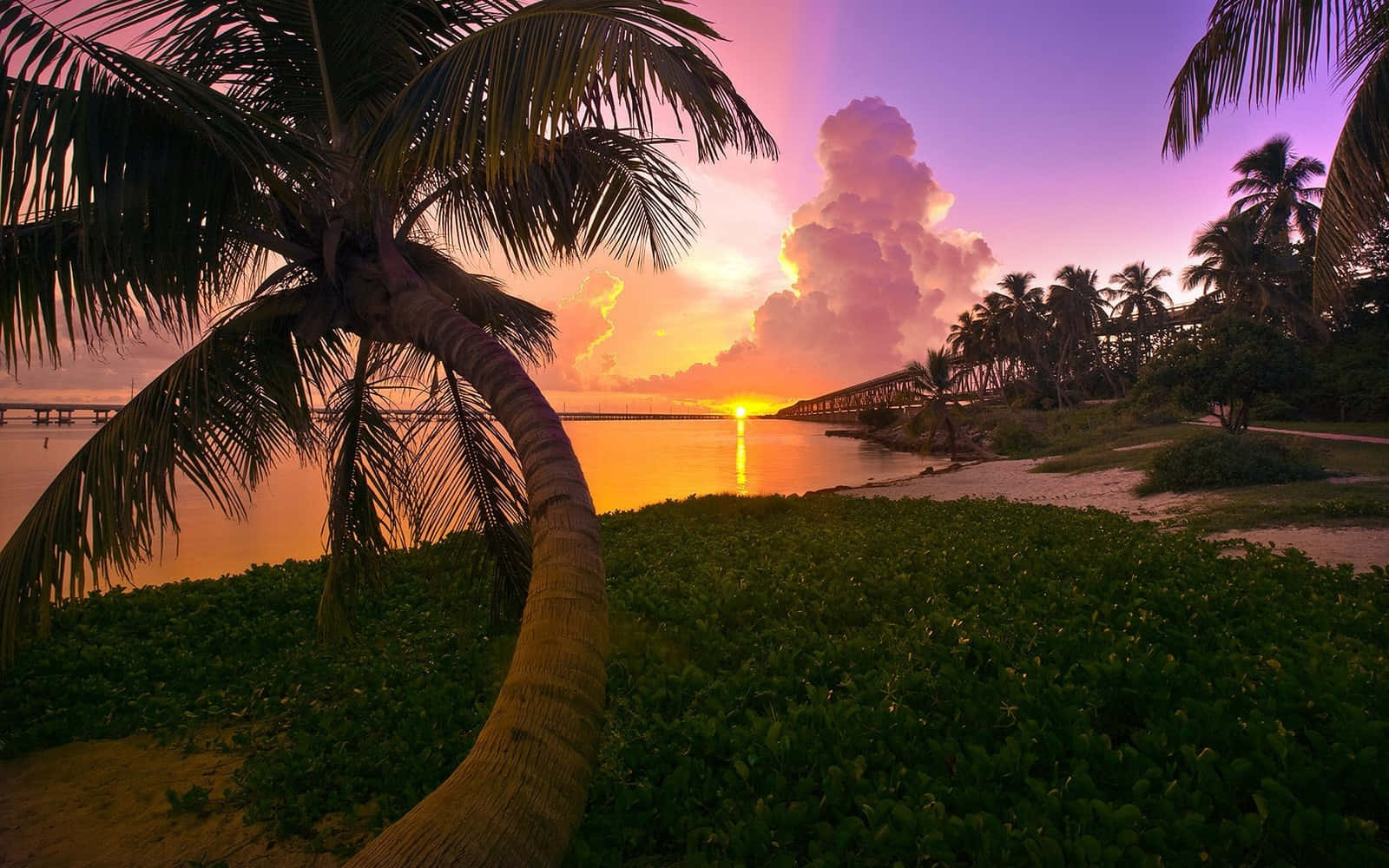 Pink Beach Sunset Sky With A Lush Island Wallpaper