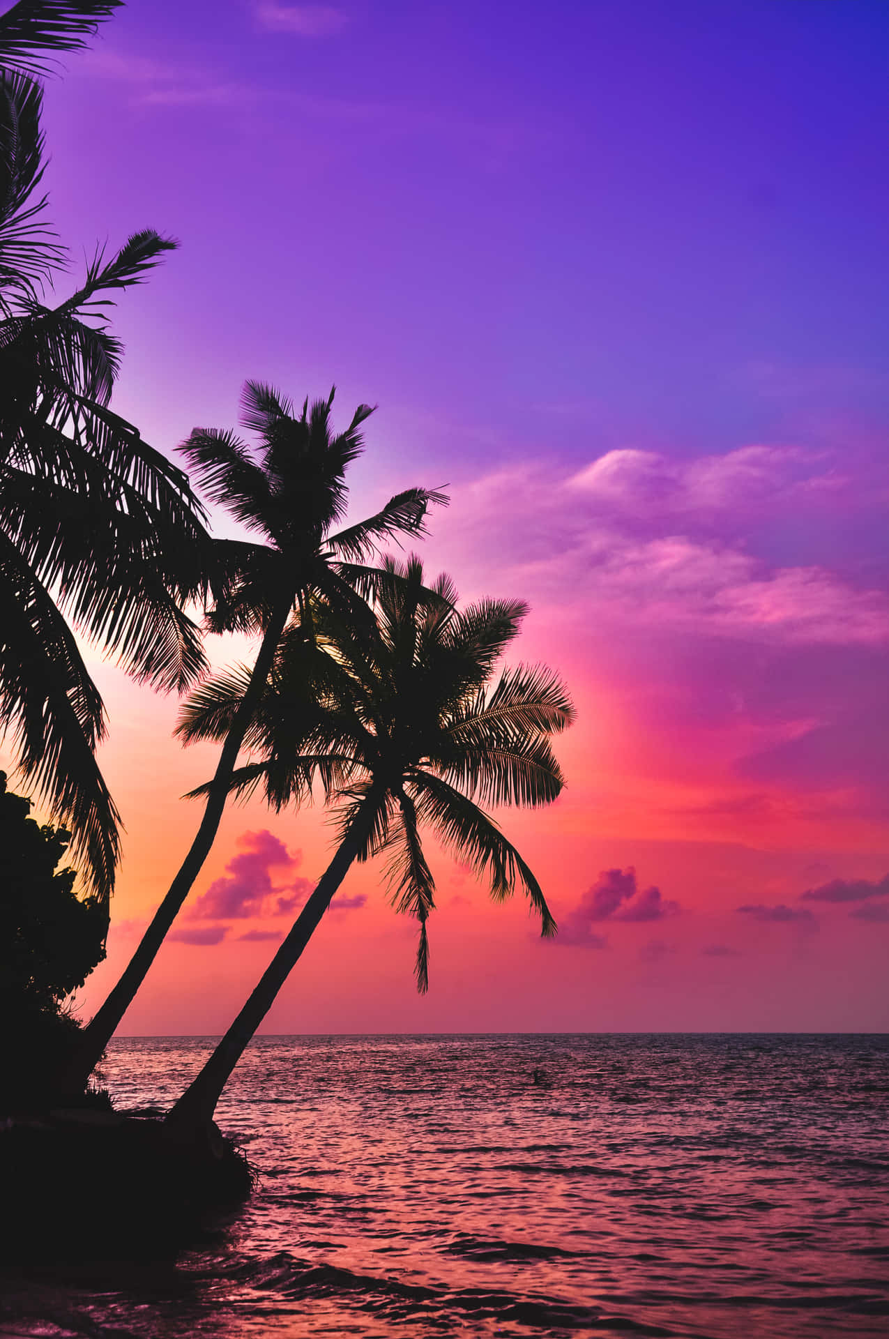 Pink Beach Sunset With Palm Trees Wallpaper
