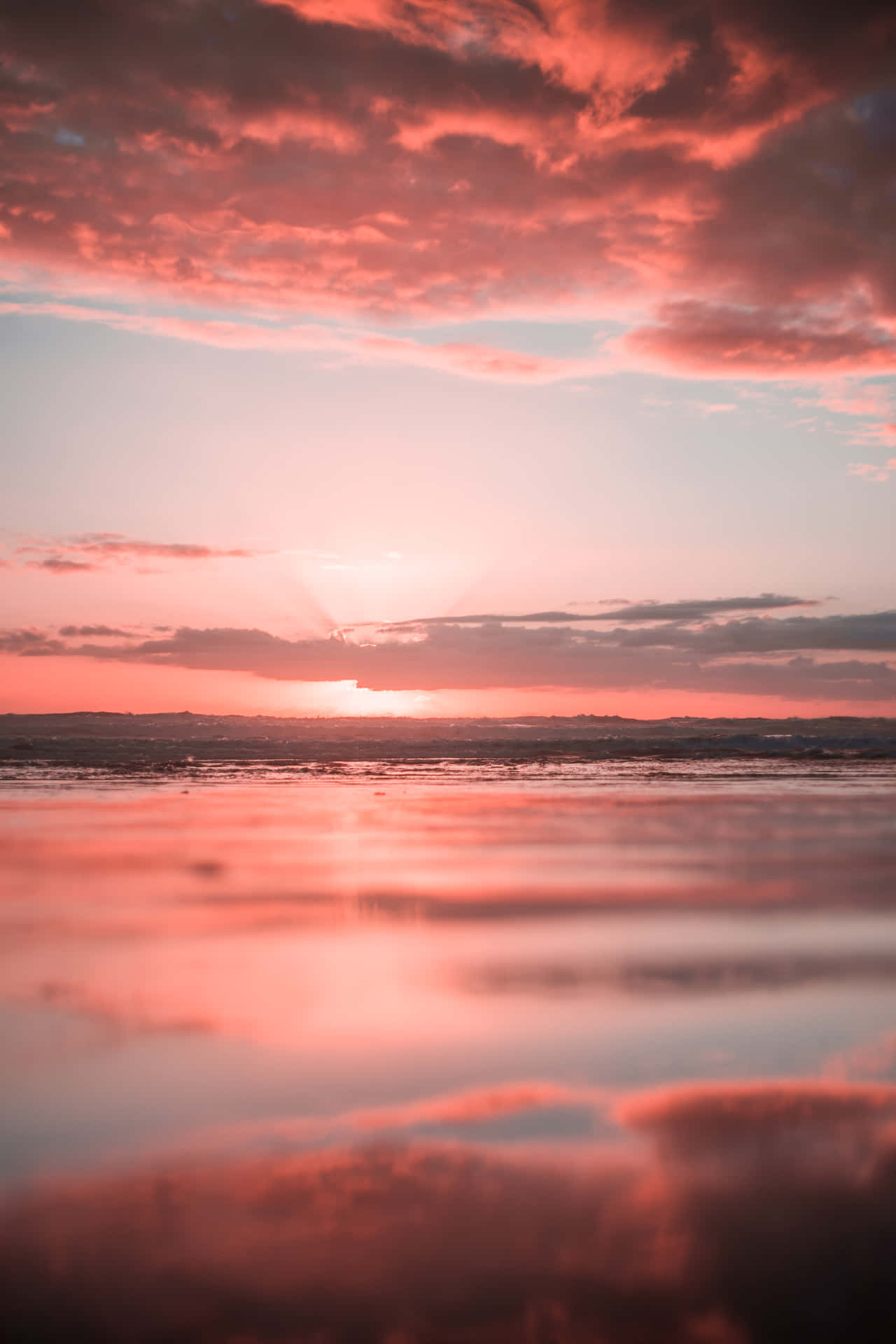 Take in the majestic beauty of a breathtaking pink beach sunset. Wallpaper