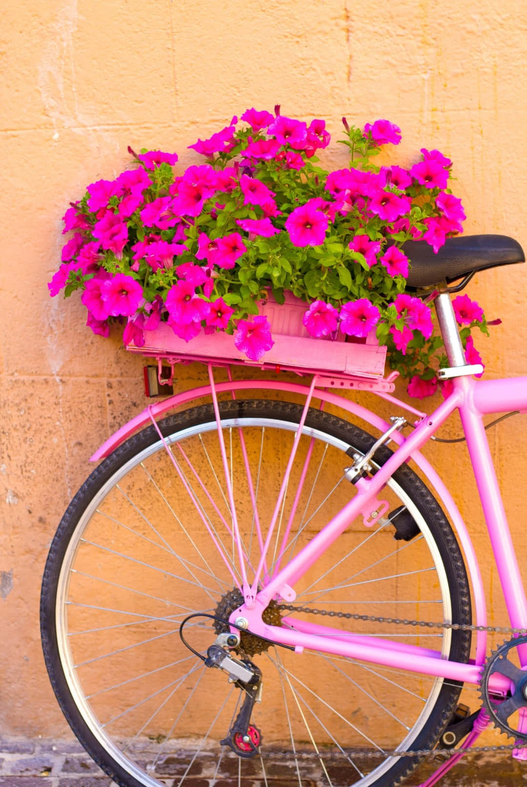 Pink Bicycle With Flower Basket Against Orange Wall.jpg Wallpaper