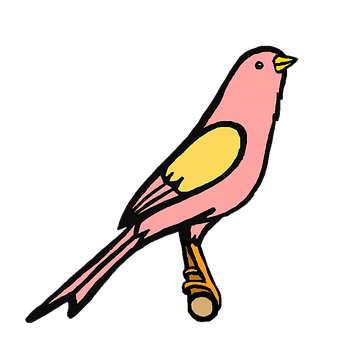 Pink Bird Illustration PNG