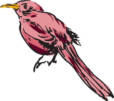 Pink Bird Illustration PNG