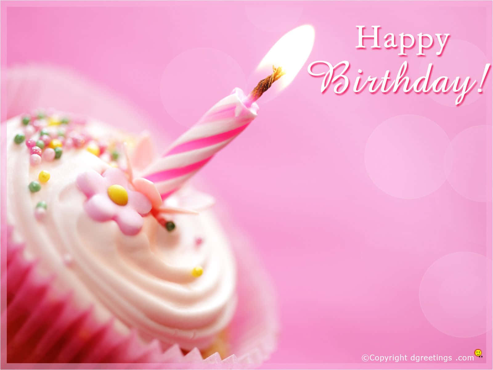 Pink Birthday Single Cupcake Wallpaper