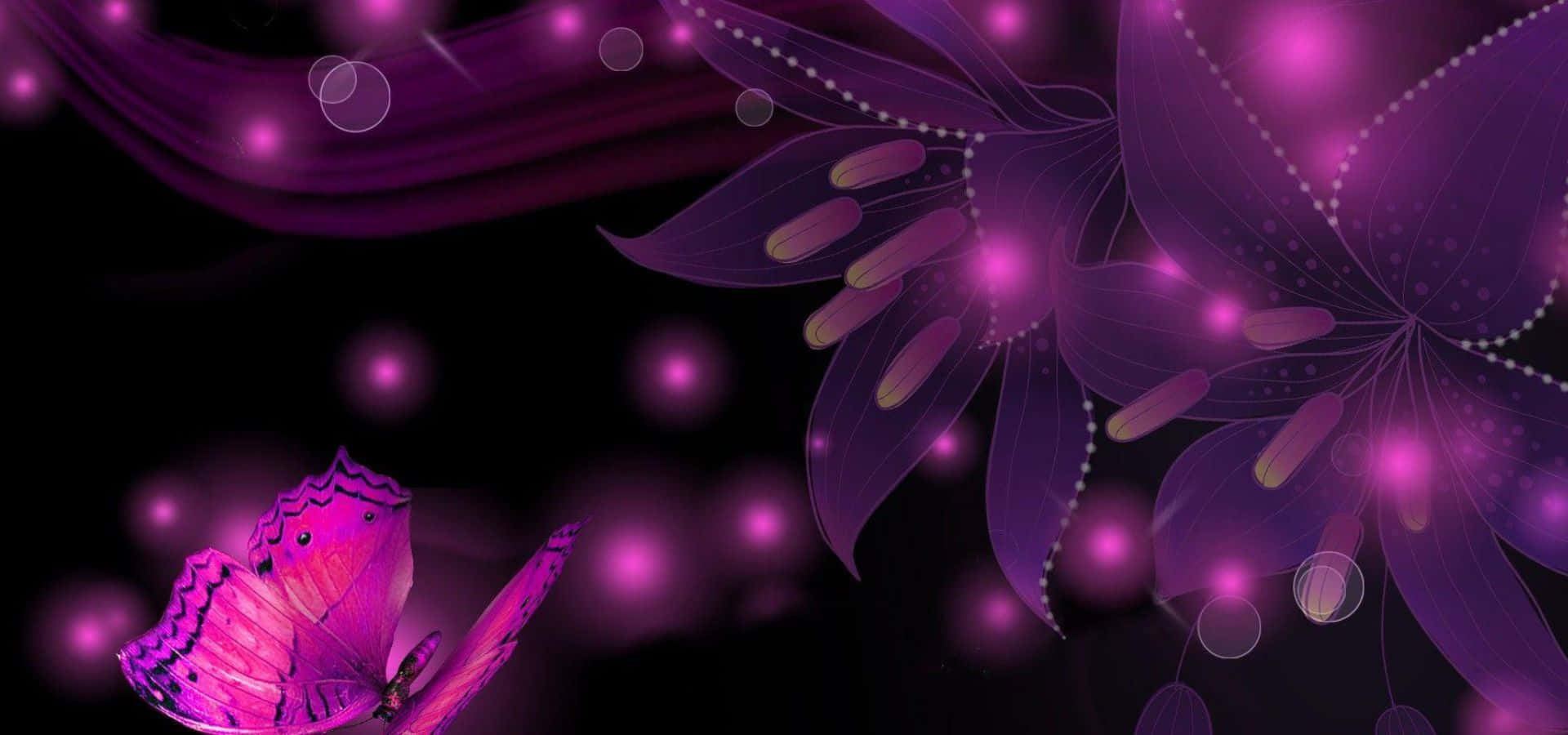 Purple Butterfly Wallpapers Hd
