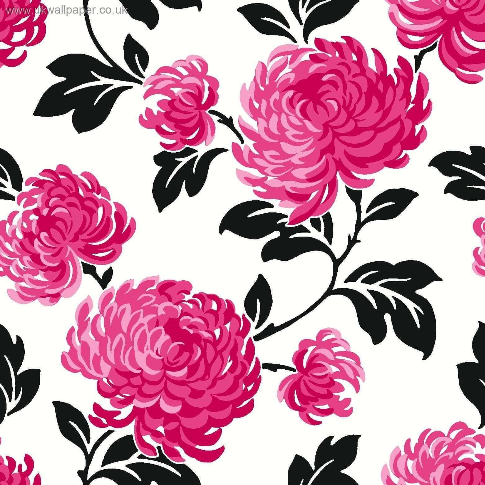 Spectacular pink and black color contrast. Wallpaper