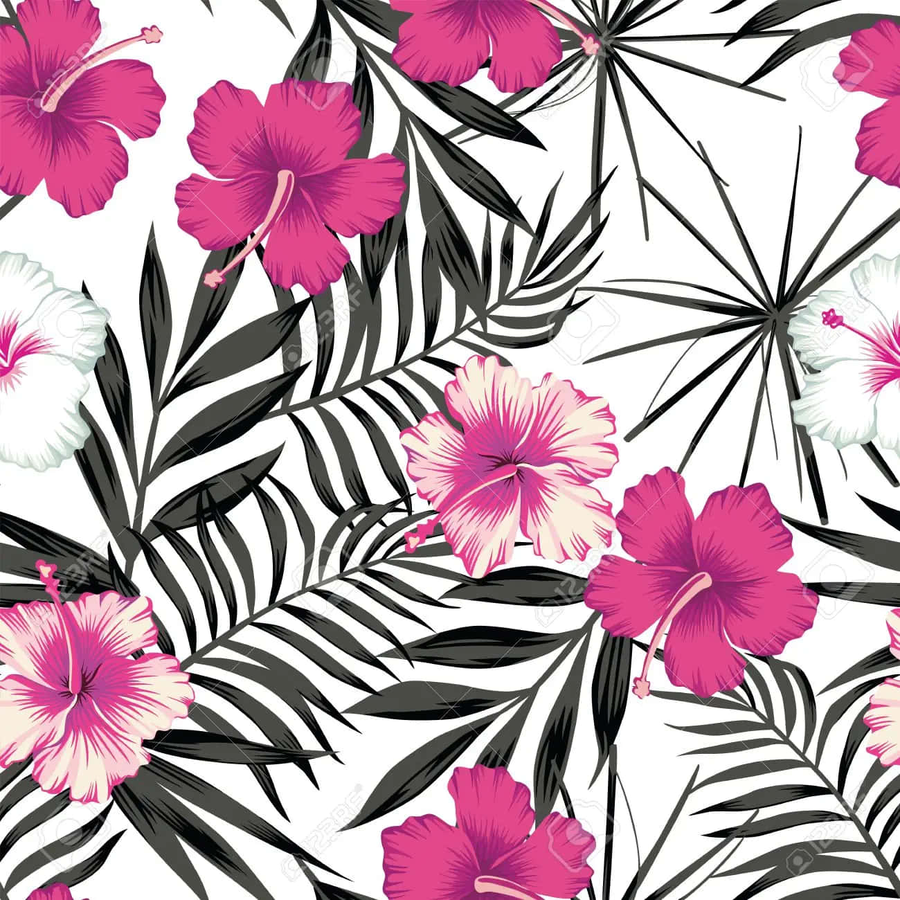 Floral vector pink black wallpaper Seamless vector dark floral pattern  with pink and white retro roses on black background  CanStock