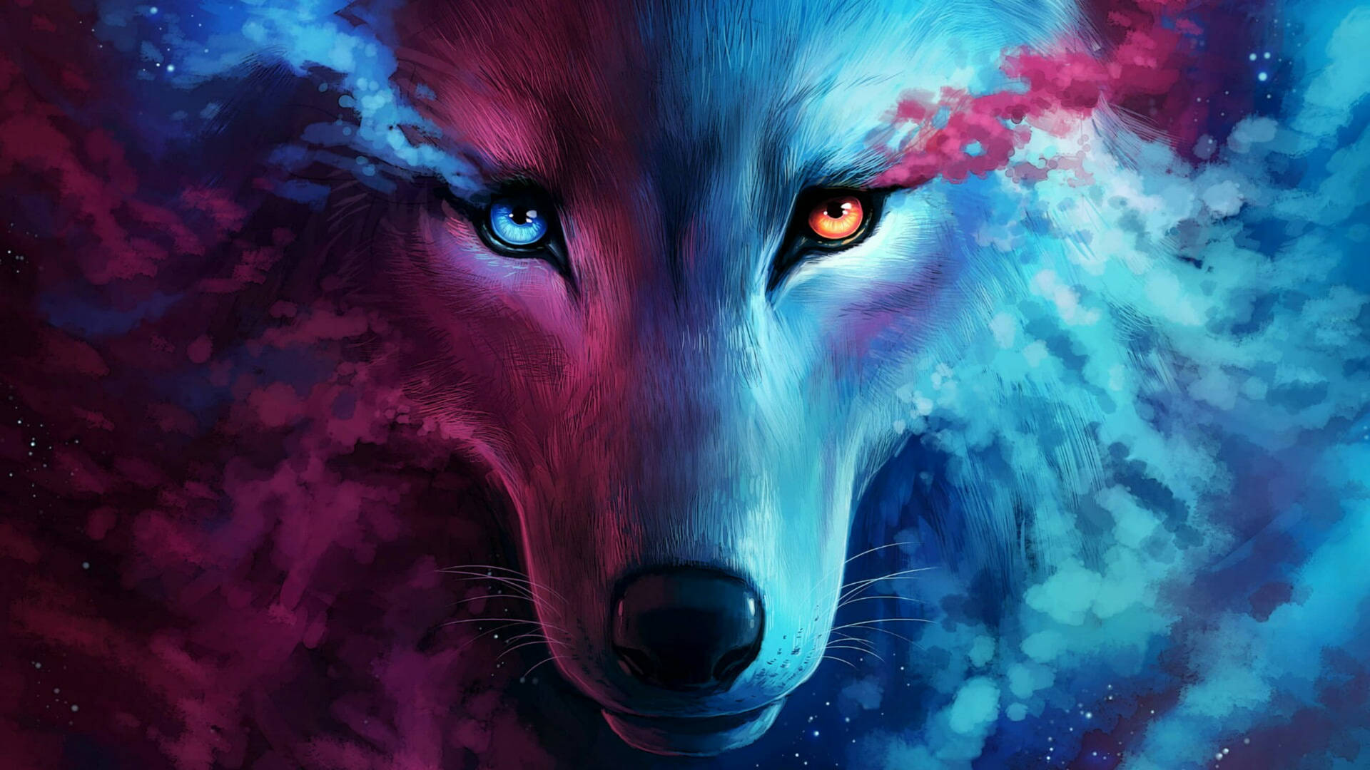 Pink blue wolf fierce eyes fantasy art wallpaper.