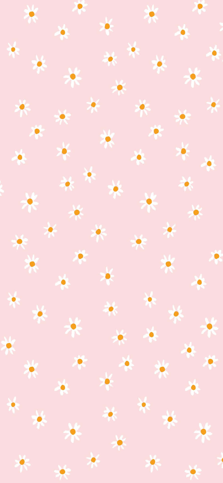 Pink Boho Daisy Pattern Wallpaper