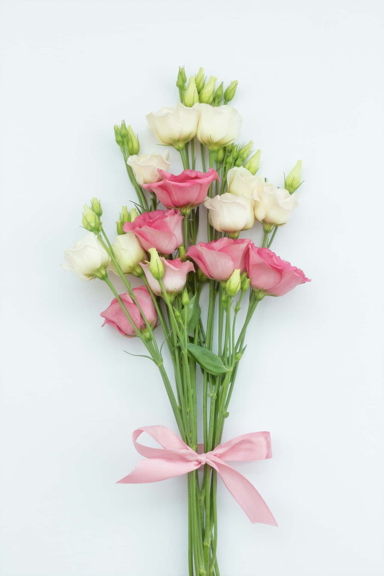 Pink Bow Tied Eustoma Bouquet Wallpaper