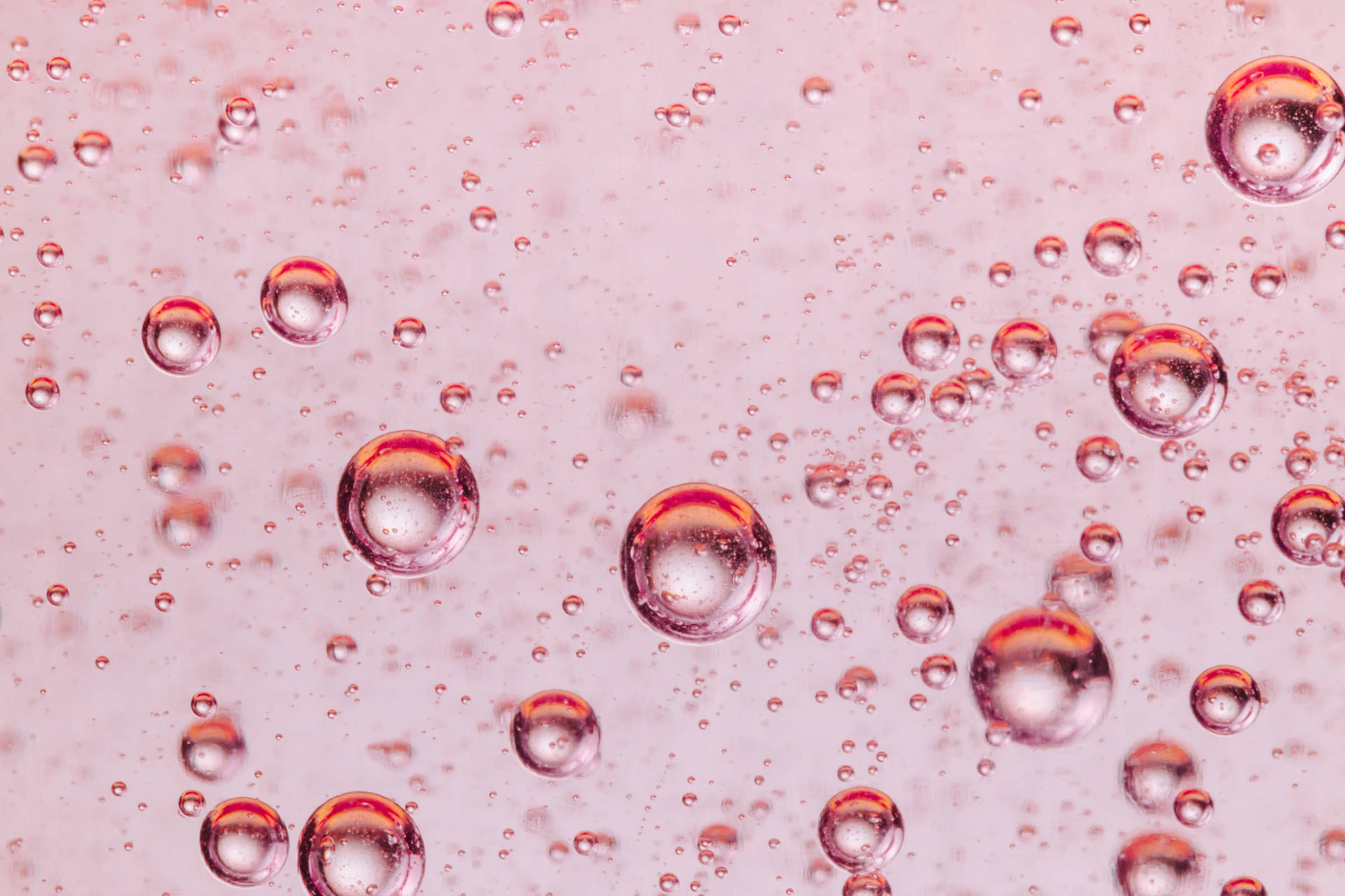 Pink Bubbles Aesthetic Pattern Wallpaper