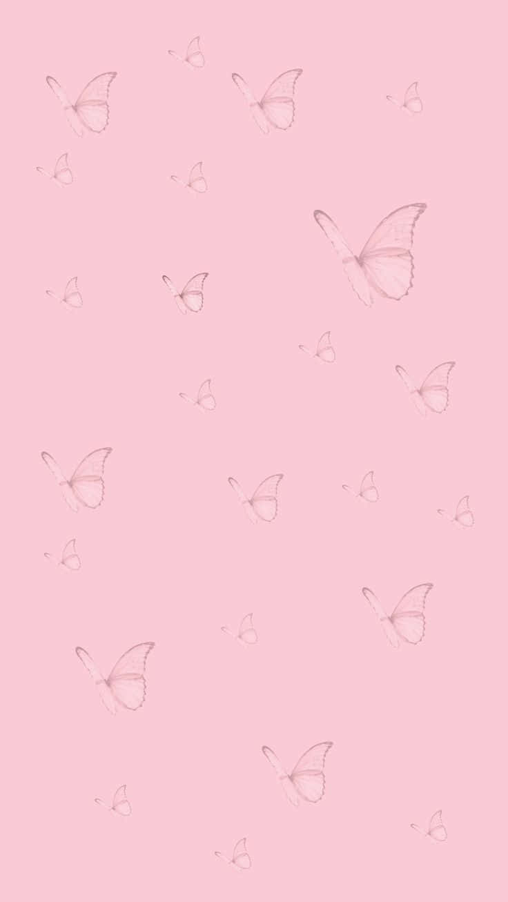 Pink Butterfly Aesthetic Wallpaper Wallpaper
