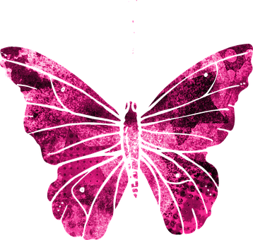 Pink Butterfly Artwork PNG
