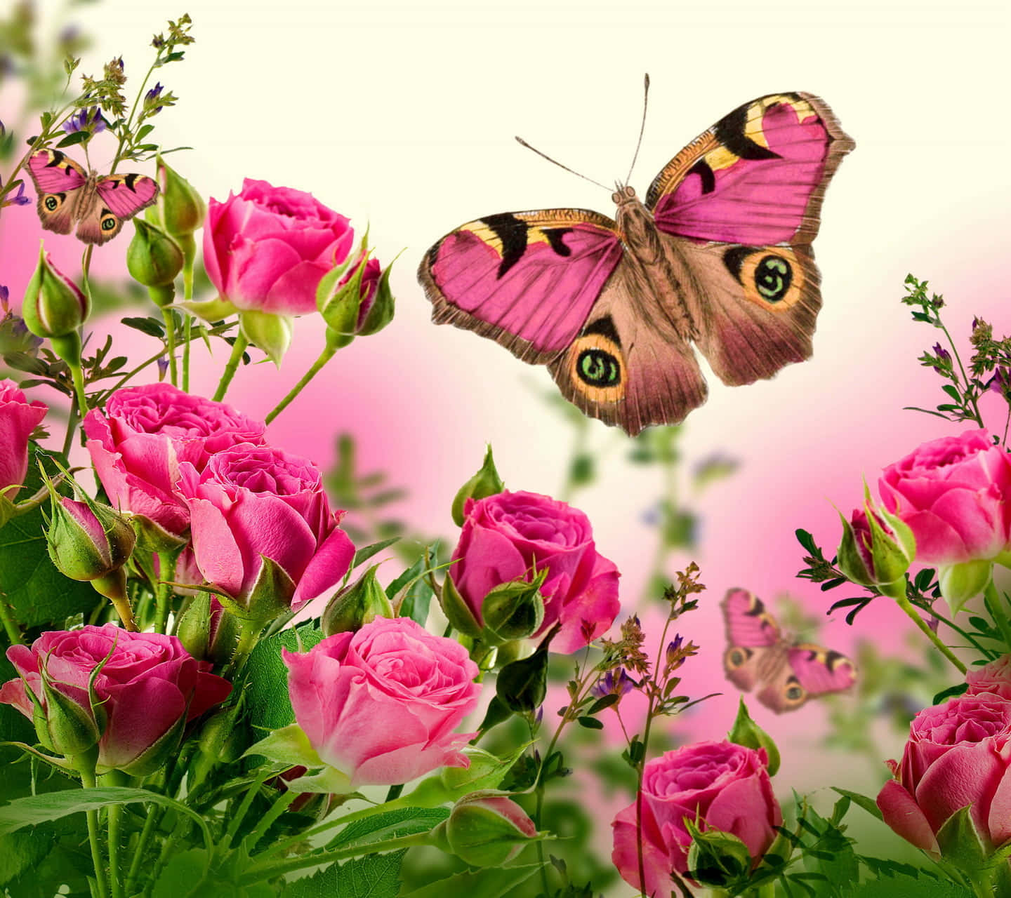 "Beautiful Wings of the Pink Butterfly"