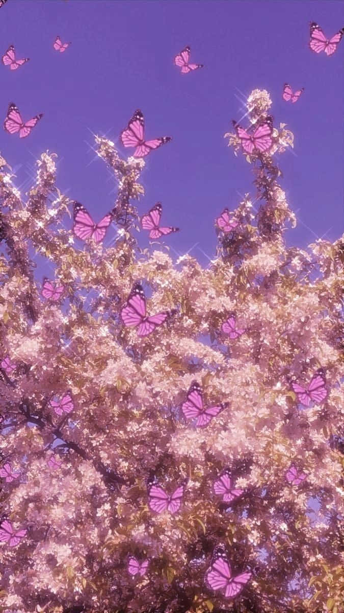 Pink_ Butterfly_ Blossom_ Aesthetic.jpg Wallpaper