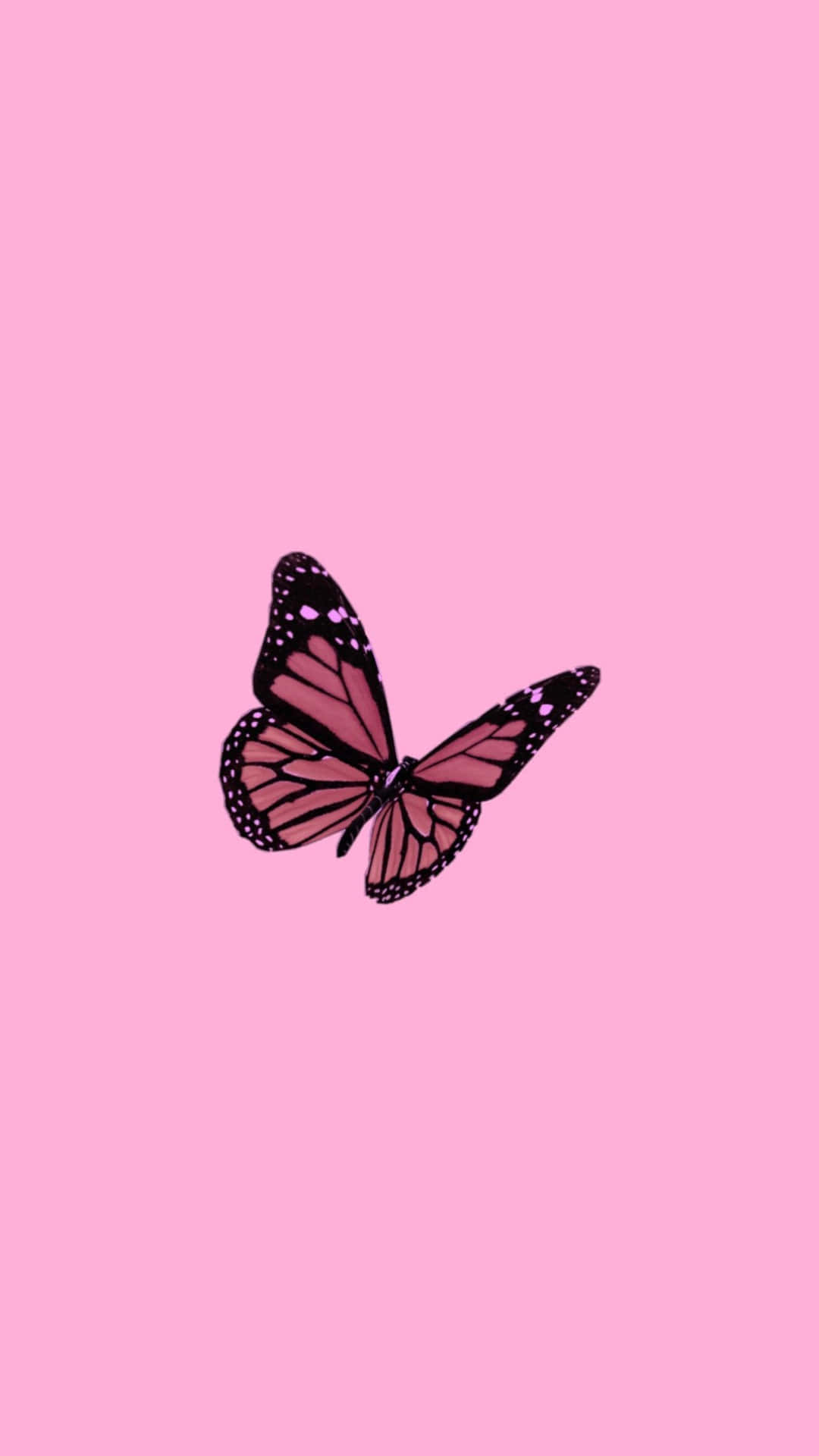 Pink Butterfly Cute Pfp For Tiktok Wallpaper