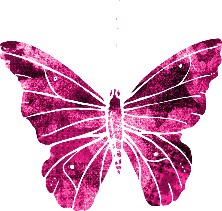 Pink Butterfly Graphic Art PNG