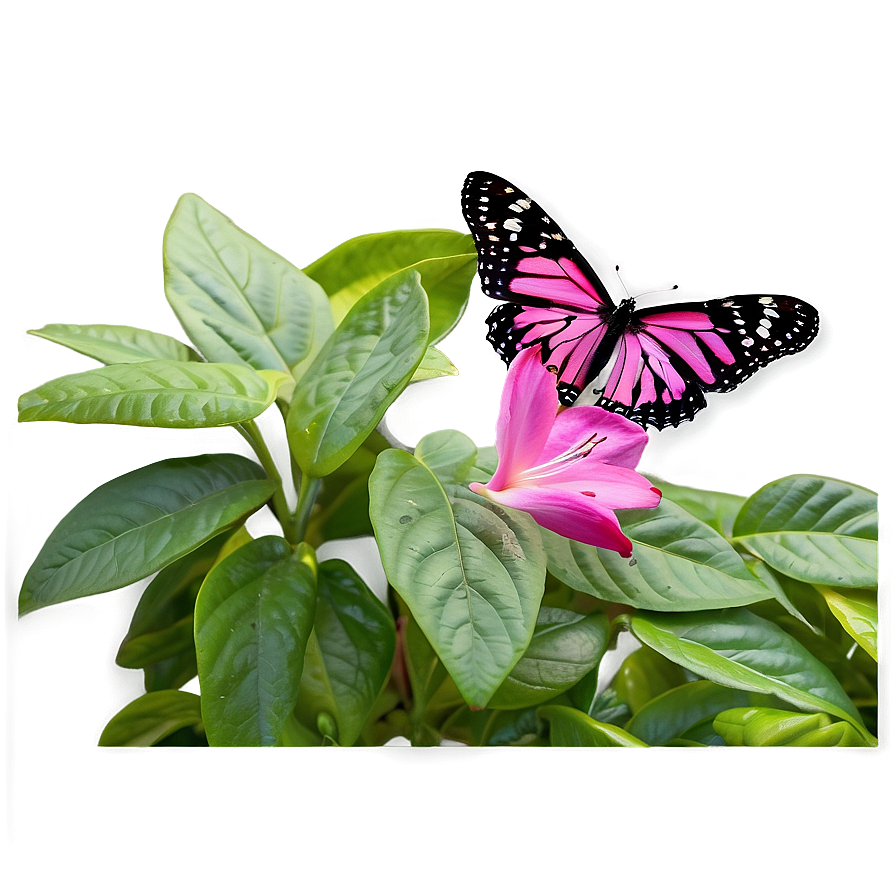 Download Pink Butterfly In Garden Png 69 | Wallpapers.com