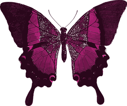 Pink Butterfly Silhouette PNG