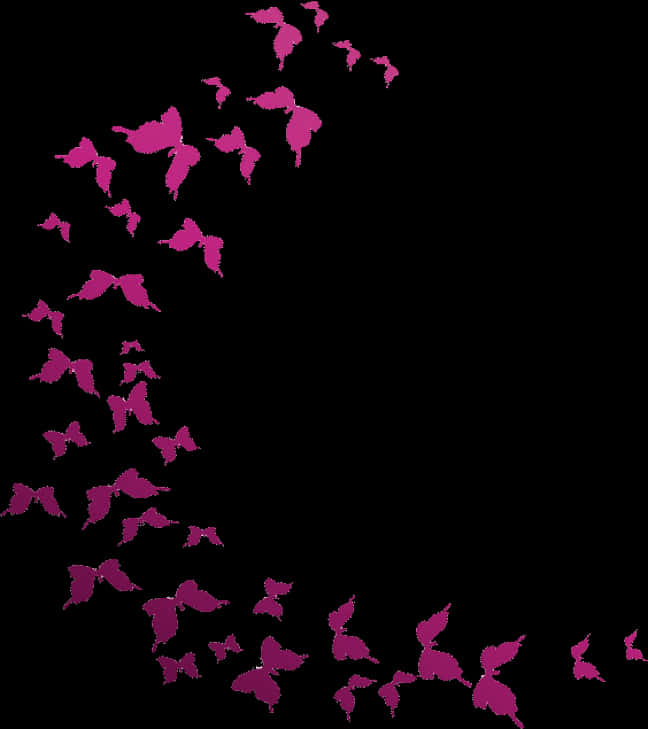 Pink Butterfly Silhouetteson Black PNG