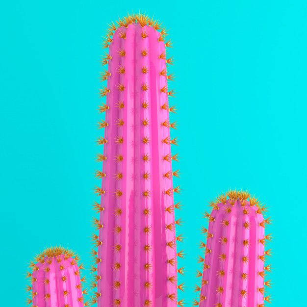 Pink Cactus On Blue Wallpaper