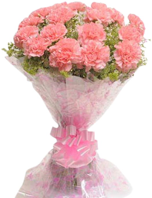 Pink Carnation Bouquet PNG