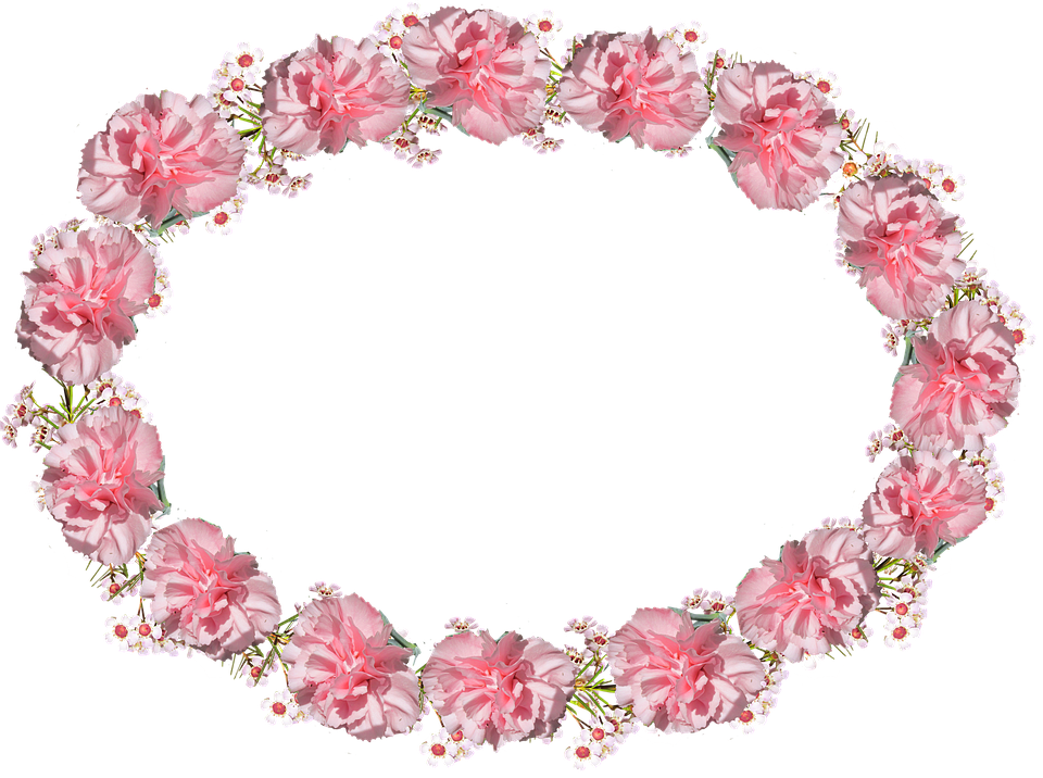 Pink Carnation Wreath Frame PNG