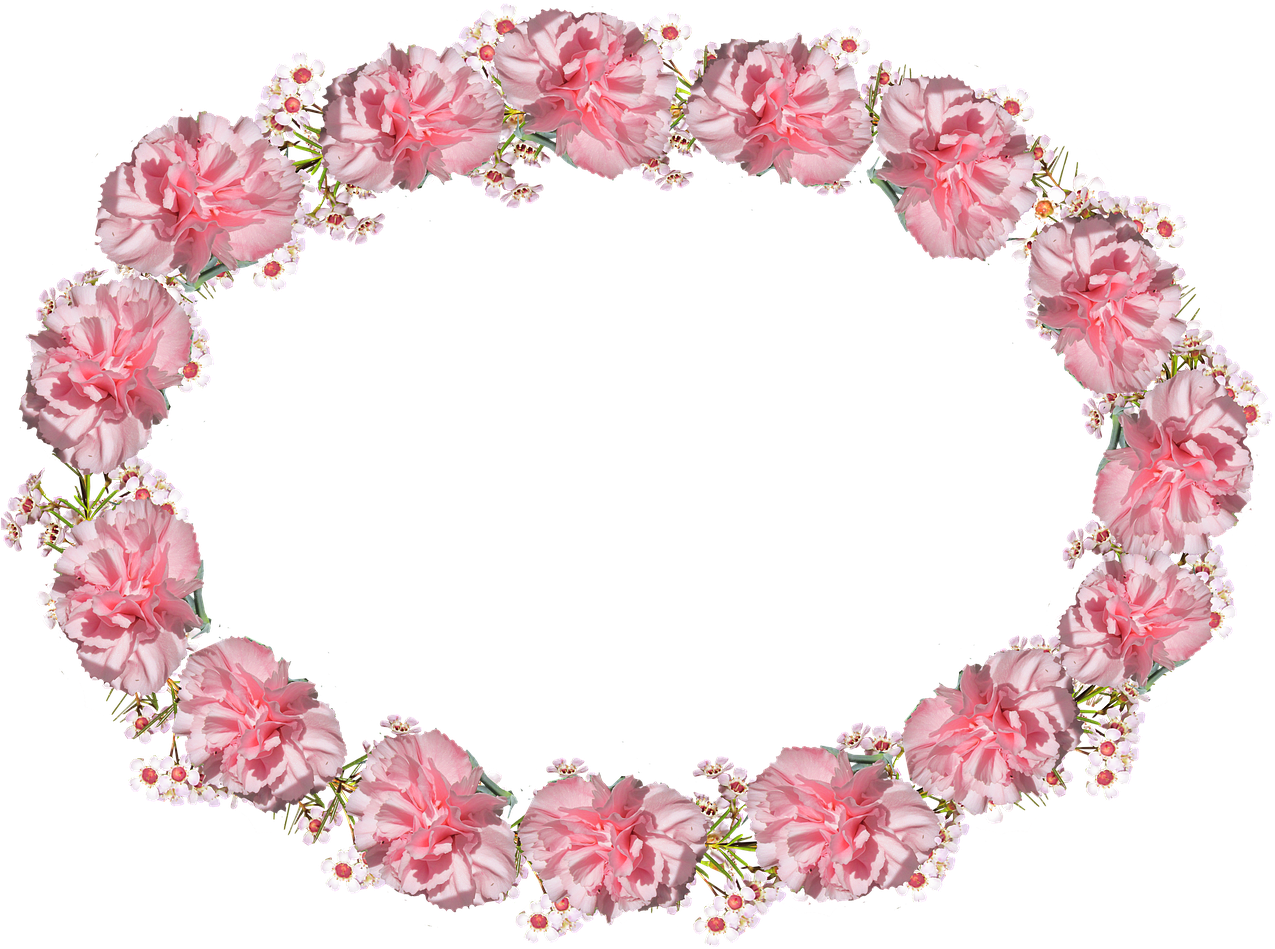 Pink Carnation Wreath Transparent Background PNG