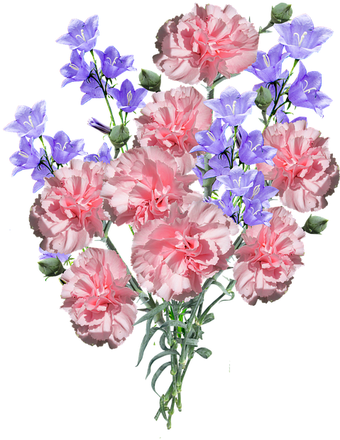 Pink Carnationsand Purple Flowers Bouquet PNG