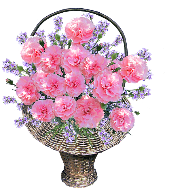 Pink Carnationsin Basket PNG