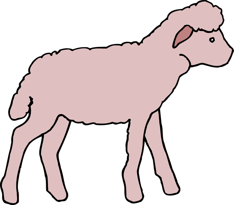 Pink Cartoon Lamb PNG