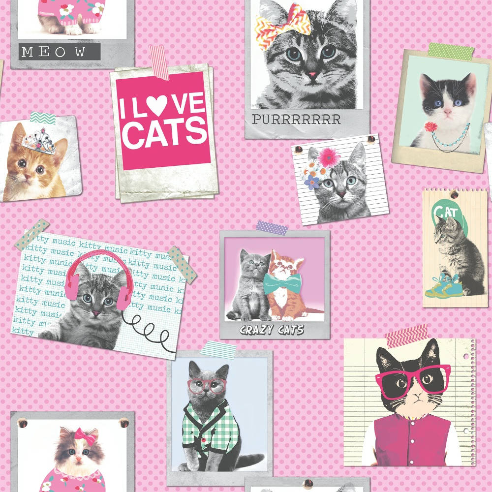 A Pink Background With Pictures Of Cats Wallpaper